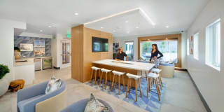 nVe at Fairfax Gallery 9