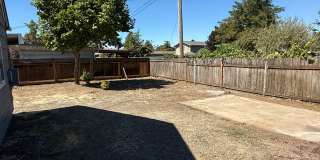 Updated 3-bedroom, 1 bath triplex in Springfield! Gallery 5