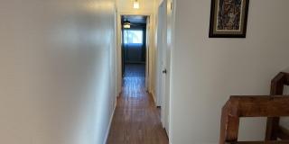 56 Emerald Court Gallery 21