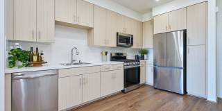 The Willows Gallery 38