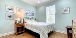 329 Margaritaville Avenue Gallery 18