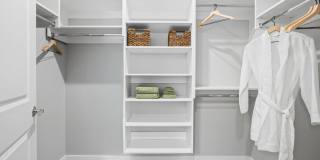 The Galaxy at Polaris Gallery 35