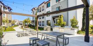 The Strand Gallery 36