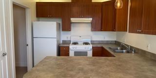 Polo Villas Gallery 2