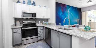 The Access Gallery 1