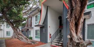 Grayson Apartments Gallery 26