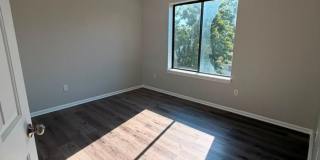 509-513 Woodward Avenue - 509-C Gallery 13