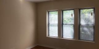 6603 N Campbell Ave Gallery 3