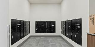 The Fifty at Division Gallery 29