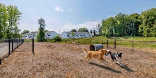 Friendly Gardens Gallery 29