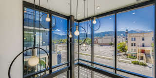 Avian Gallery 24