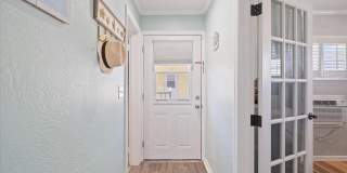 Dolphin Beach Gallery 5