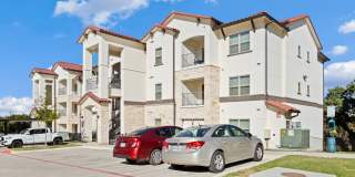 Water Oak Gallery 86