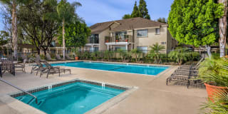 Terra Vista Apartments Gallery 1