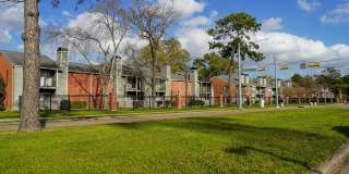 Timbers of Cranbrook Gallery 3