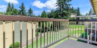 Carrington Gallery 71