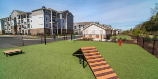 The Haven at Regent Park Gallery 53