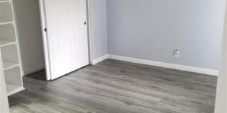 Nova Pointe Gallery 7