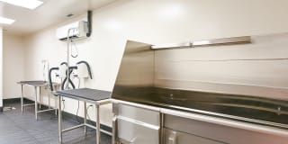 Avec on H Street Gallery 26