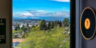Fremont View: Modern Classic Collection Gallery 23