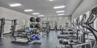 Belterra Springs Gallery 15