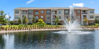 The Point at Town Center Gallery 22