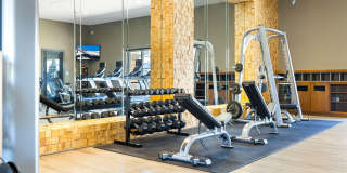 Olympus Alameda Gallery 27