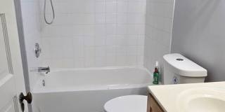 Charming Condo Walkable to Central West End-Washer Dryer in Unit Gallery 8