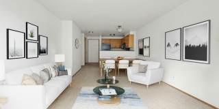 Ashford Apartments Gallery 1