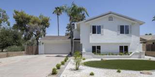 626 E PALOMINO Drive Gallery 18