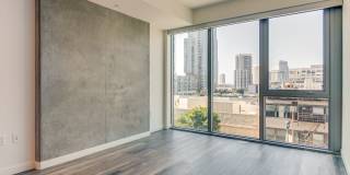 The Merian Gallery 43