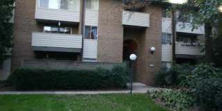 19323 CLUB HOUSE unit: 101 Gallery 1