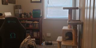 3bed/1bath in Kenwood neighborhood Gallery 11