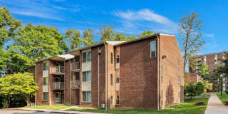 Aspen at Lake Trail Gallery 34