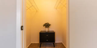 The Orion The Orion Gallery 6