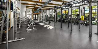 The ALIBI at Lake Lilly Gallery 30