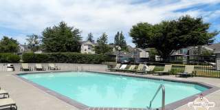 South Parc at Bethany Gallery 23