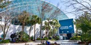 Modera Encore Gallery 23