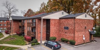 Tarpis Woods Gallery 7