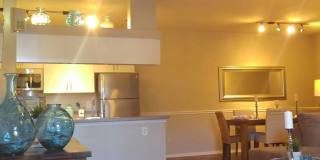 Promenade At Tampa Palms Gallery 6