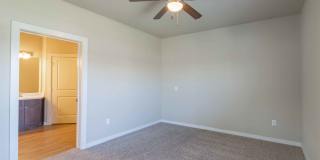 Century Palm Bluff Gallery 23