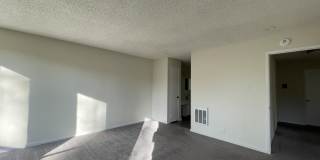 1081 Beach Park Blvd #211 Gallery 11