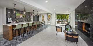 Symphony at Suwanee Creek Gallery 15