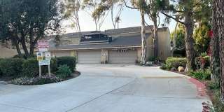 221 Rosewood Street Gallery 1