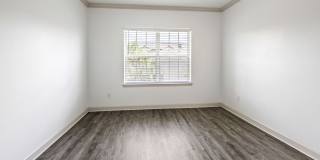 Olympus Carrington Gallery 9