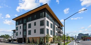 Riverline Gallery 43