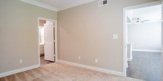 Las Palmas Gallery 16