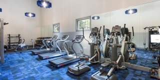 Alvista 23 Gallery 5