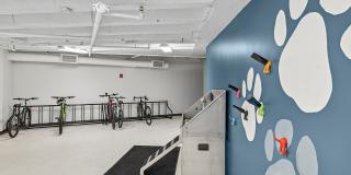 The Treasury Gallery 6