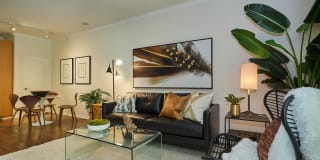 The Piero Gallery 53